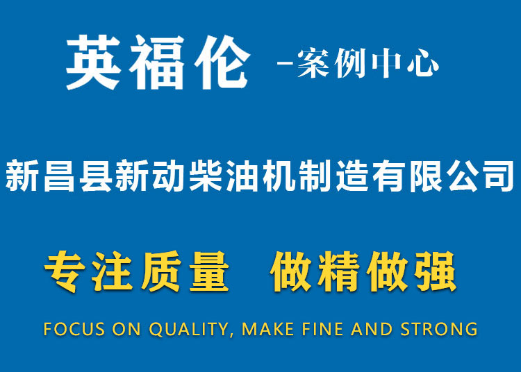 新昌县新动柴油机制造有限公司
